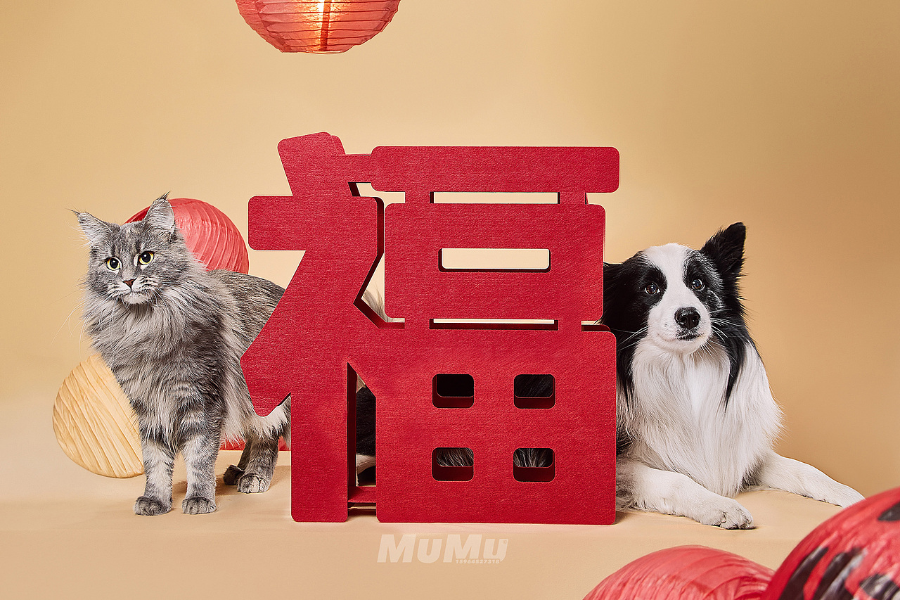 新春宠物海报|For 麦富迪
