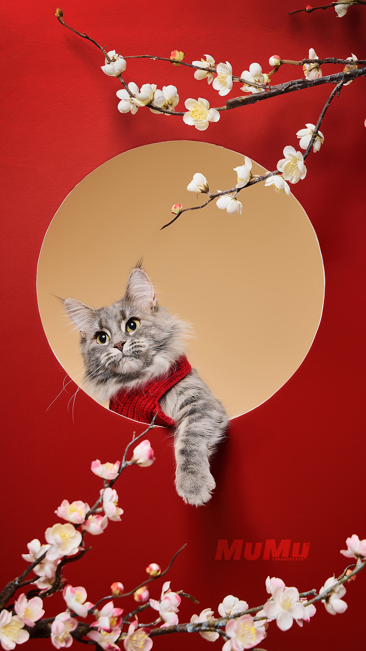 新春宠物海报|For 麦富迪