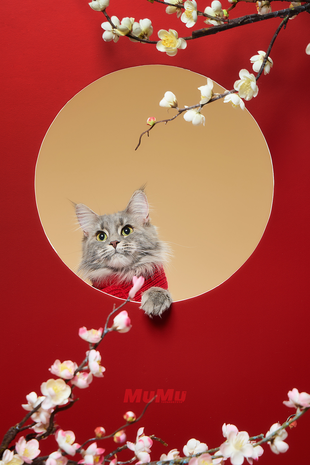 新春宠物海报|For 麦富迪