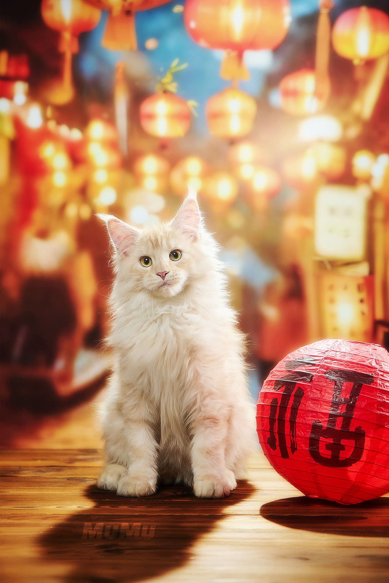 新春宠物海报|For 麦富迪