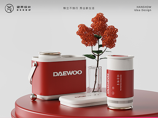 DAEWOO X HANSHOW | 大宇家用多效烘鞋器，高效新时代~