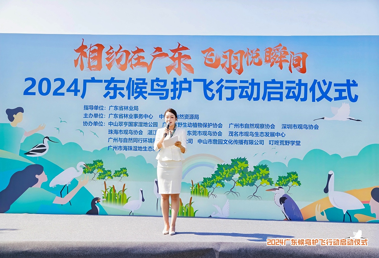 2024广东省候鸟护飞行动（图ZMzg1NDUwODIw） - 宣传物料 - 站酷设计师老合鸟子原创素材 - 站酷ZCOOL