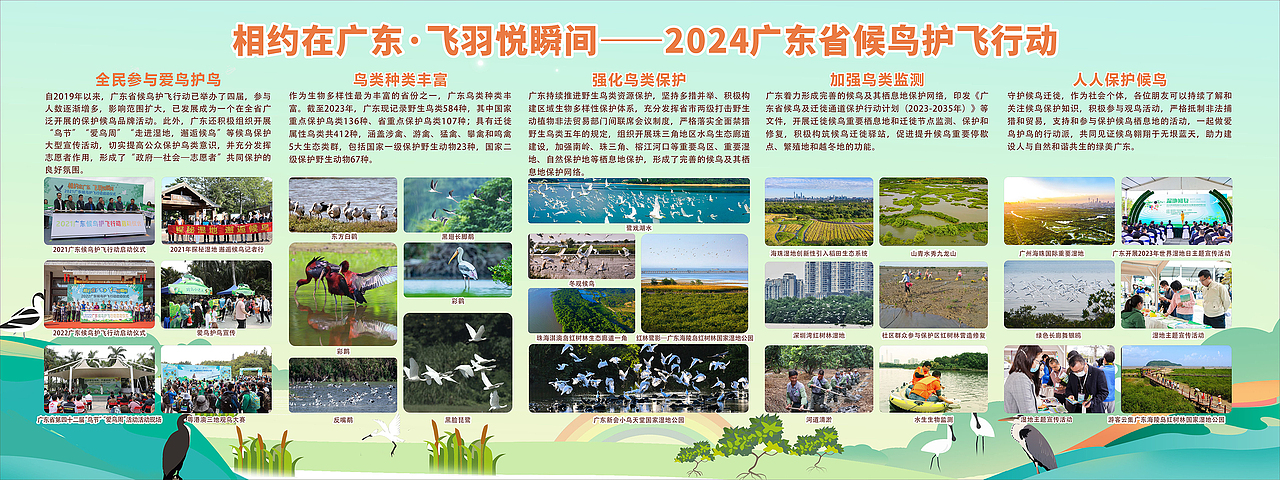 2024广东省候鸟护飞行动（图ZMzg1NDUwODU2） - 宣传物料 - 站酷设计师老合鸟子原创素材 - 站酷ZCOOL