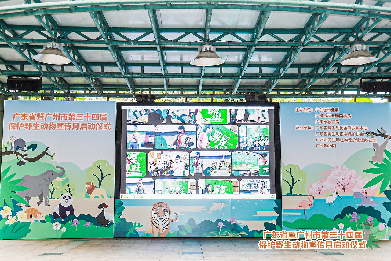 2024广东省暨广州市野生动物宣传保护月主题活动（图ZMzg1NDU1NDA4） - 宣传物料 - 站酷设计师老合鸟子原创素材 - 站酷ZCOOL