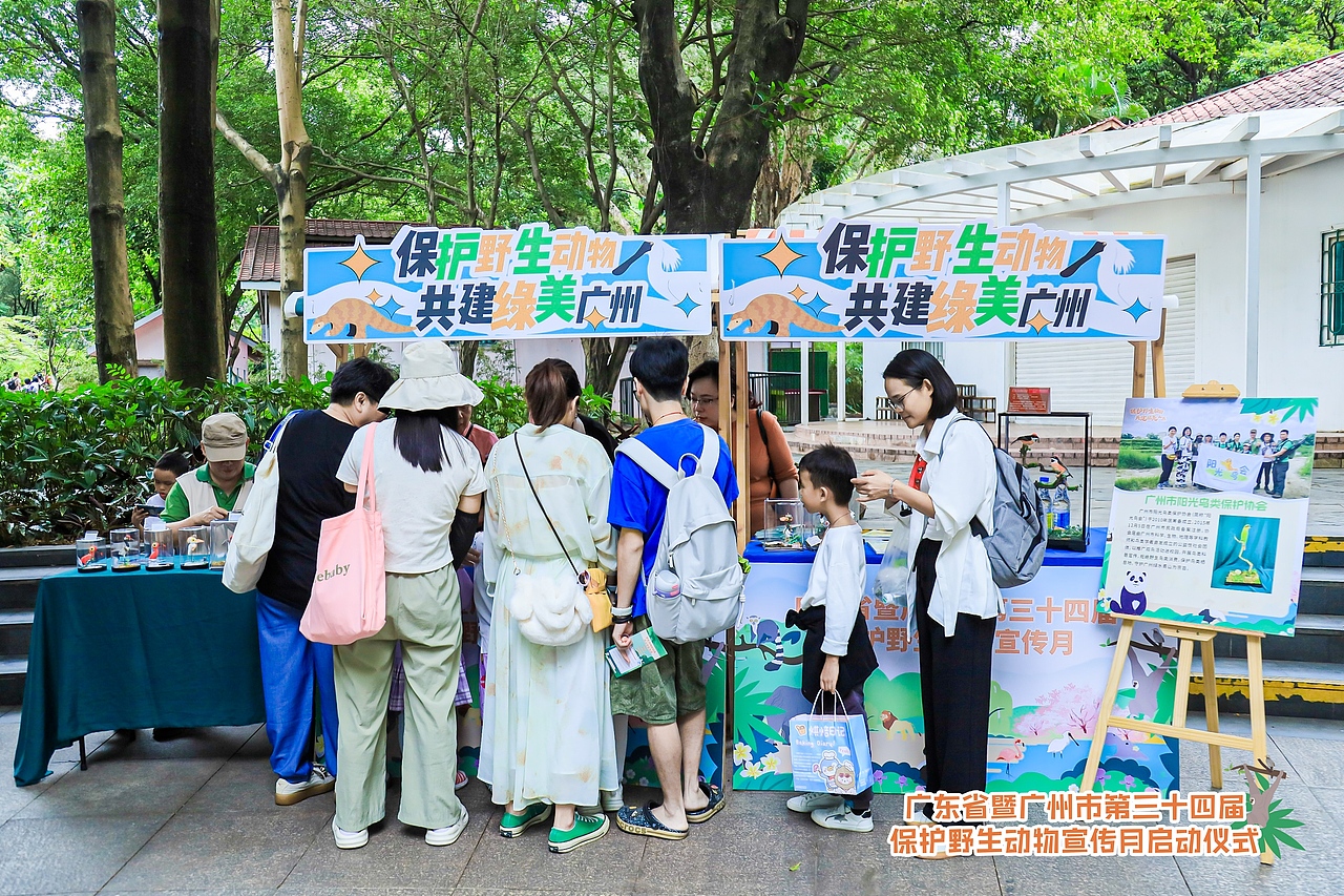 2024广东省暨广州市野生动物宣传保护月主题活动（图ZMzg1NDU1NDk2） - 宣传物料 - 站酷设计师老合鸟子原创素材 - 站酷ZCOOL
