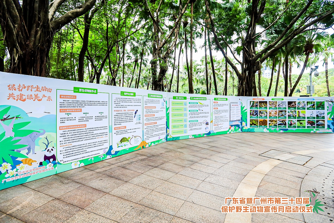 2024广东省暨广州市野生动物宣传保护月主题活动（图ZMzg1NDU1Nzky） - 宣传物料 - 站酷设计师老合鸟子原创素材 - 站酷ZCOOL