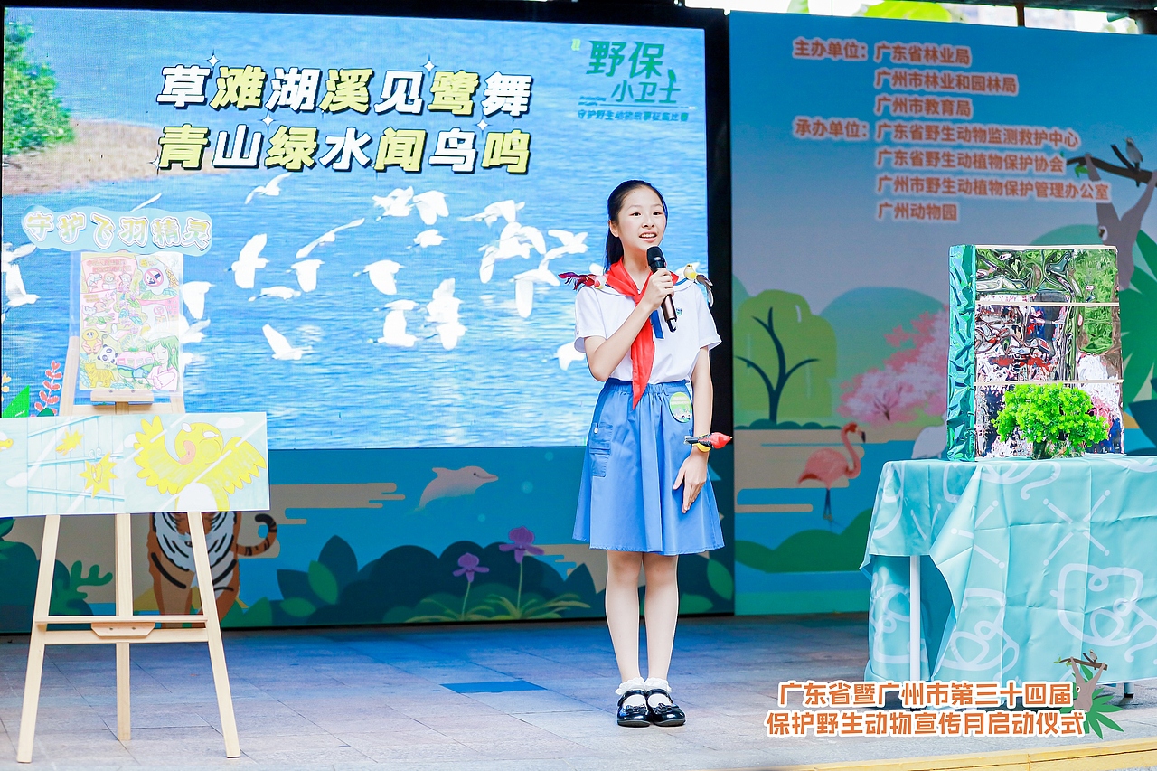 2024广东省暨广州市野生动物宣传保护月主题活动（图ZMzg1NDU1NDg0） - 宣传物料 - 站酷设计师老合鸟子原创素材 - 站酷ZCOOL