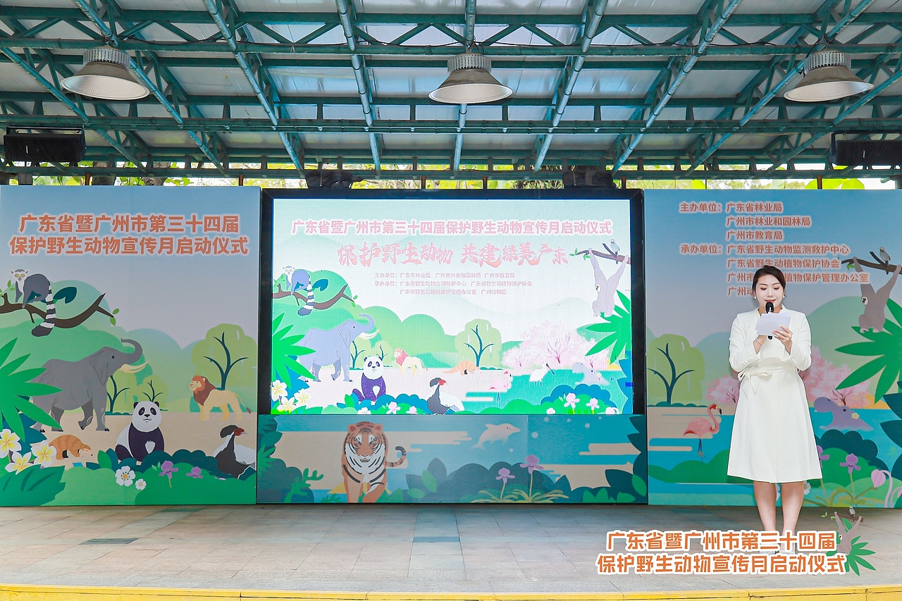 2024广东省暨广州市野生动物宣传保护月主题活动（图ZMzg1NDU1NDg4） - 宣传物料 - 站酷设计师老合鸟子原创素材 - 站酷ZCOOL
