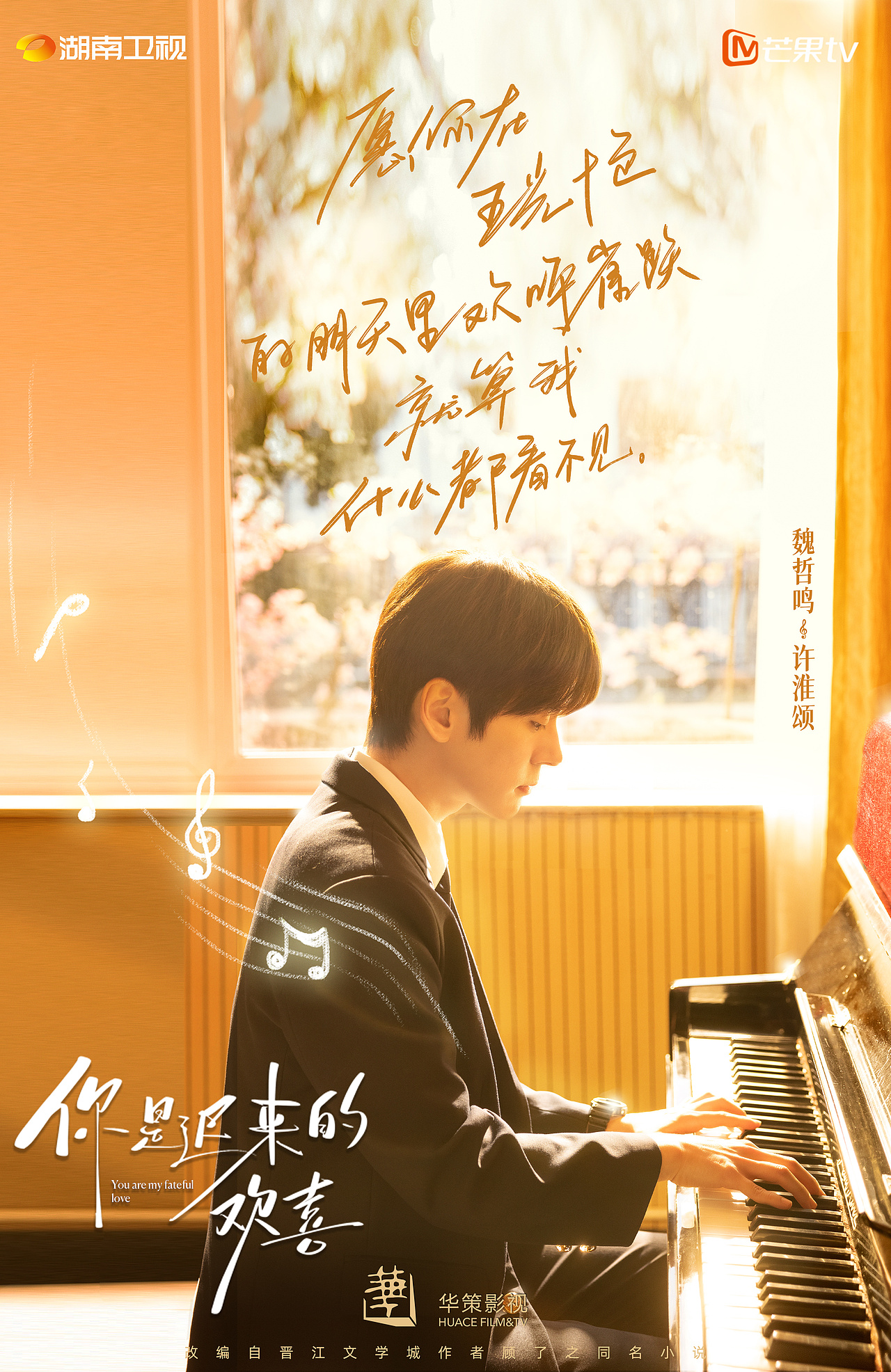 你是迟来的欢喜 人物台词海报