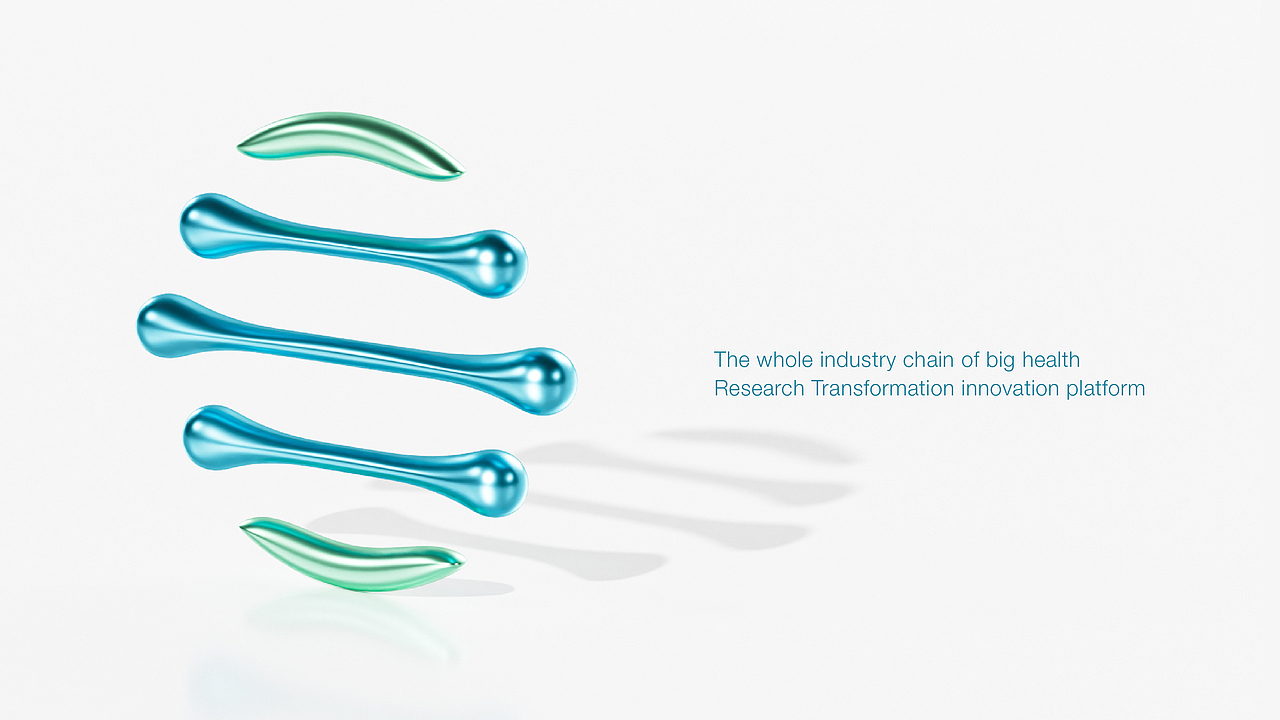 2024年度品牌视觉合集