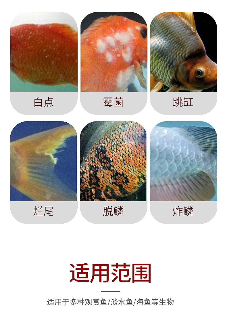 观赏鱼食用盐详情