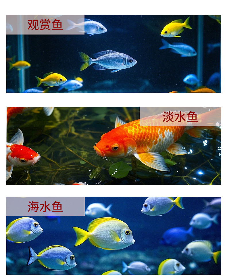 观赏鱼食用盐详情