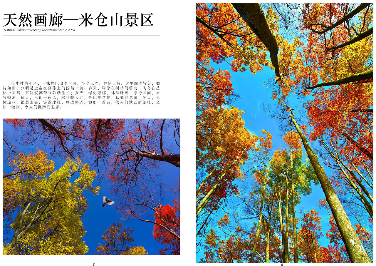 光雾山画册设计（图ZMzg1NTIzNDM2） - 书籍/画册 - 站酷设计师设计师空空原创素材 - 站酷ZCOOL