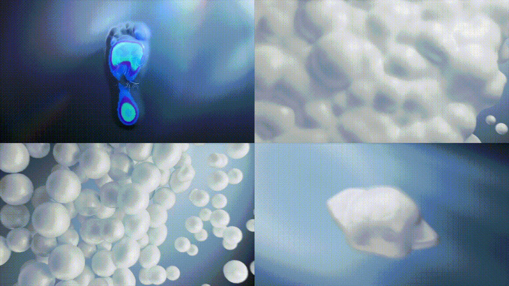 2025 个人作品集