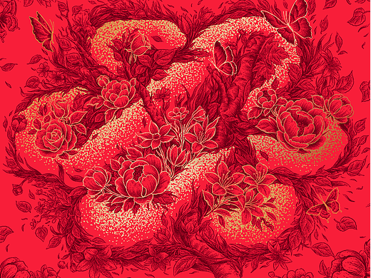 养生堂化妆品 蛇年礼盒插画