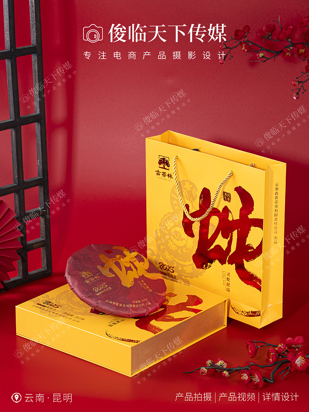 蛇年普洱茶礼盒生茶熟茶