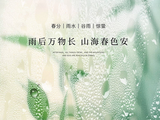 雨水节气海报