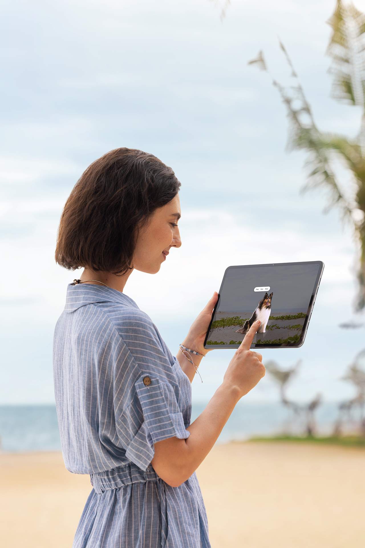 Lifestyle | 1+One Plus Rainbow 2024