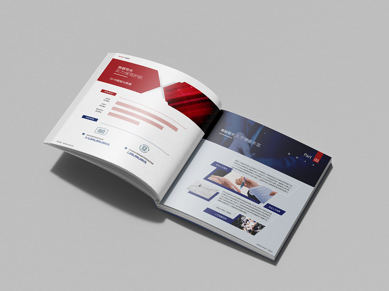 能源画册设计 宣传册设计 企业画册设计 画册-远麦刘斌