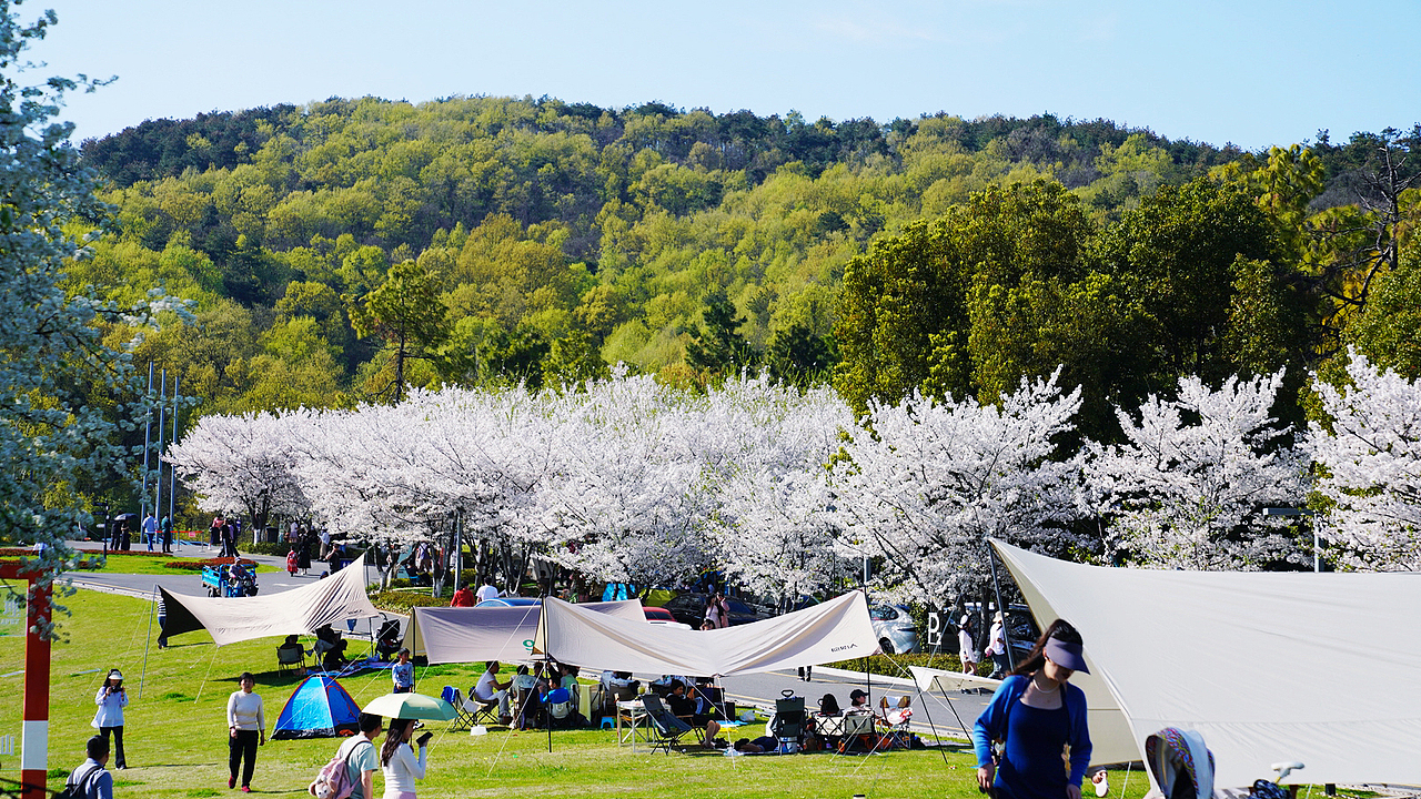 春和景明-南京四方美术馆（图ZMzg1NjI1ODg4） - 风光摄影 - 站酷设计师郝德善原创素材 - 站酷ZCOOL