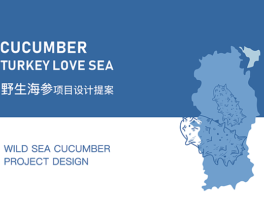 土耳其爱琴海海参礼盒包装设计