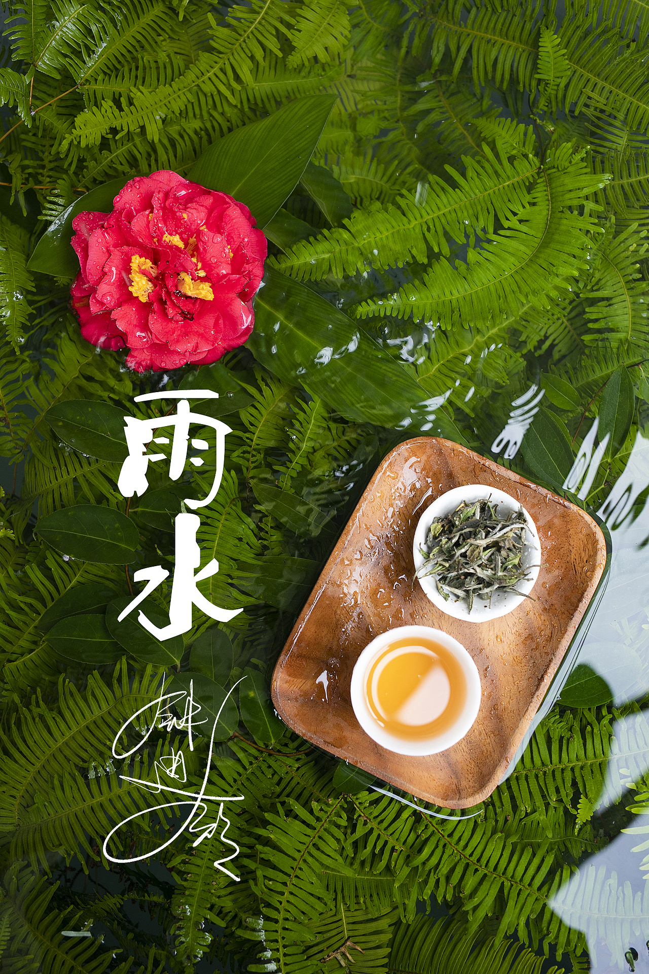 节气雨水,交融于茶