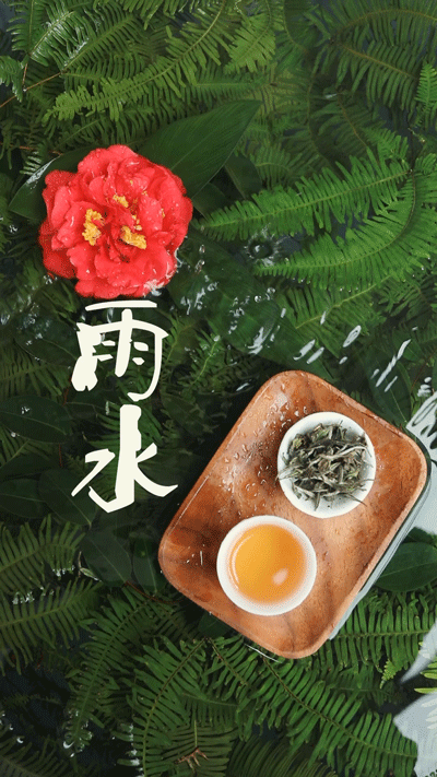 节气雨水,交融于茶