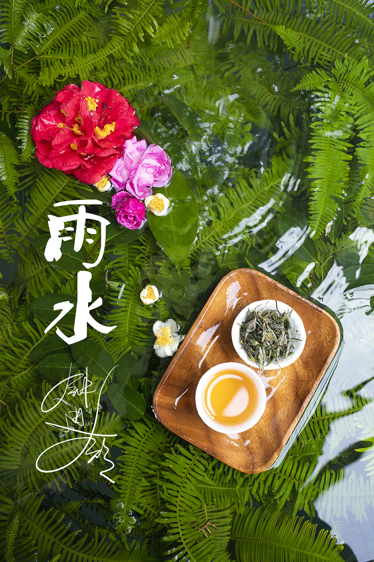 节气雨水,交融于茶