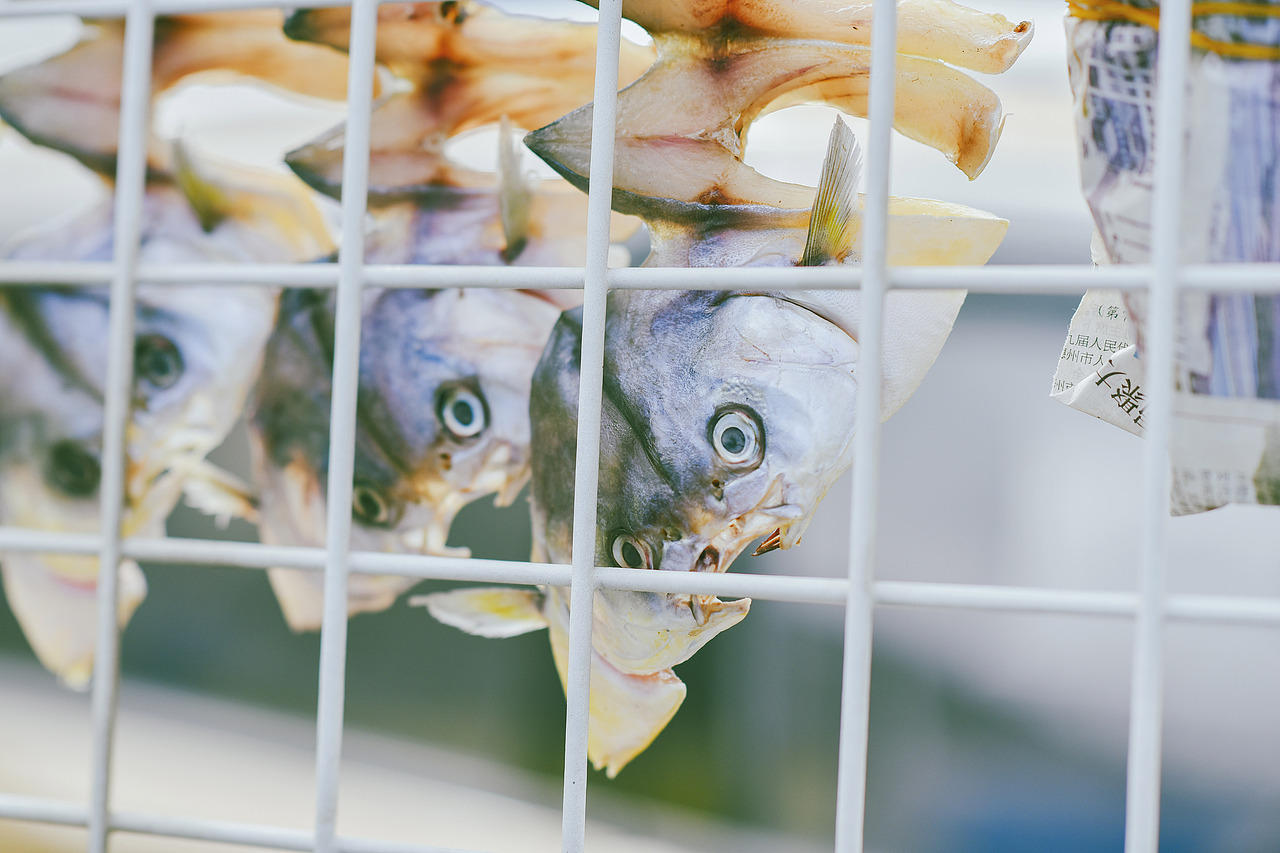 40嵗，feel damn good！（图ZMzg1Njc1ODc2） - 人像摄影 - 站酷设计师刘豌豆豆豆小姐原创素材 - 站酷ZCOOL