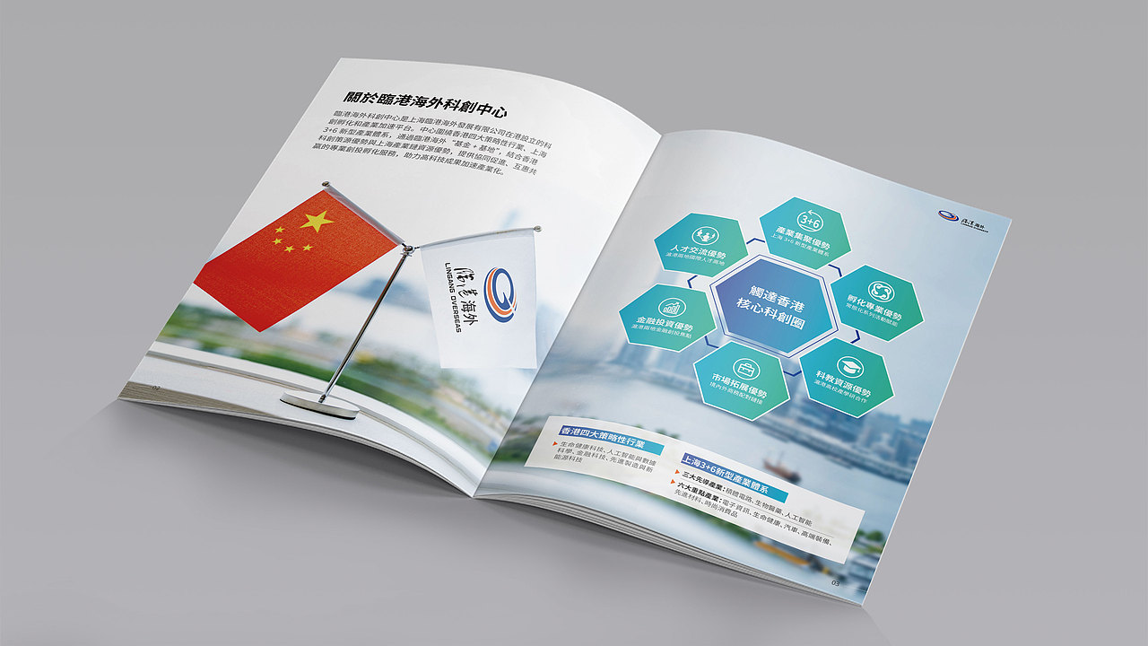 画册设计临港海外科创中心企业画册（图ZMzg1NzAwMjg4） - 书籍/画册 - 站酷设计师晏迪原创素材 - 站酷ZCOOL