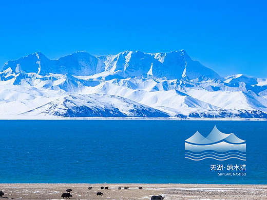 纳木措·天湖之境（个人主页-ZNzE0MTAwNzI=） - Logo - 站酷设计师一林丶lam原创素材 - 站酷ZCOOL
