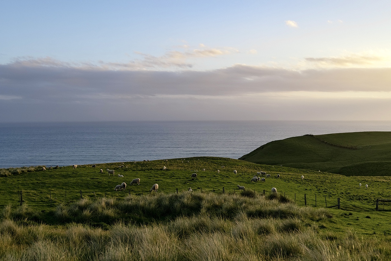 New Zealand 2024（图ZMzg1NzU5MjY0） - 风光摄影 - 站酷设计师亚细亚的迷雾原创素材 - 站酷ZCOOL