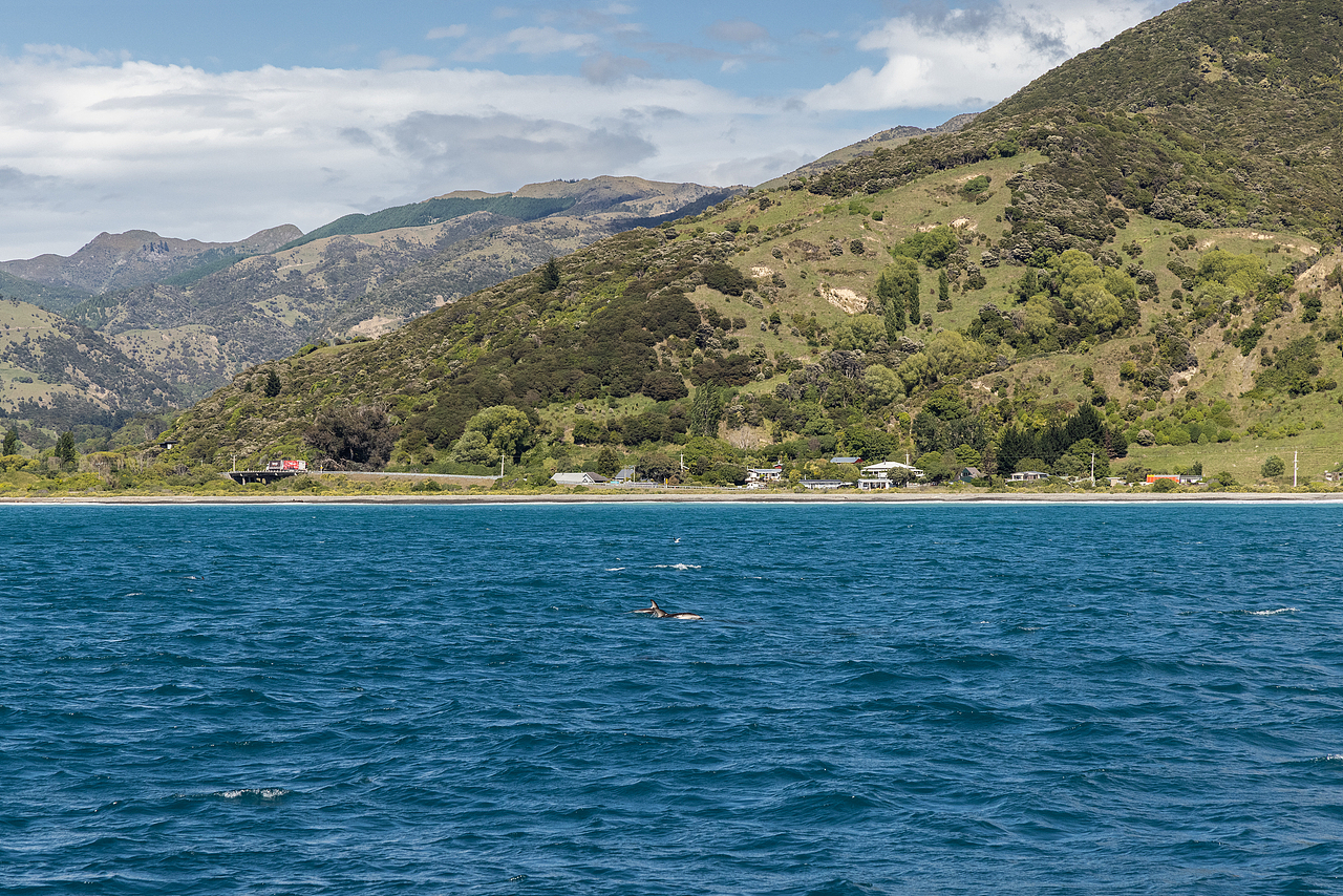 New Zealand 2024（图ZMzg1NzU5MTQ0） - 风光摄影 - 站酷设计师亚细亚的迷雾原创素材 - 站酷ZCOOL