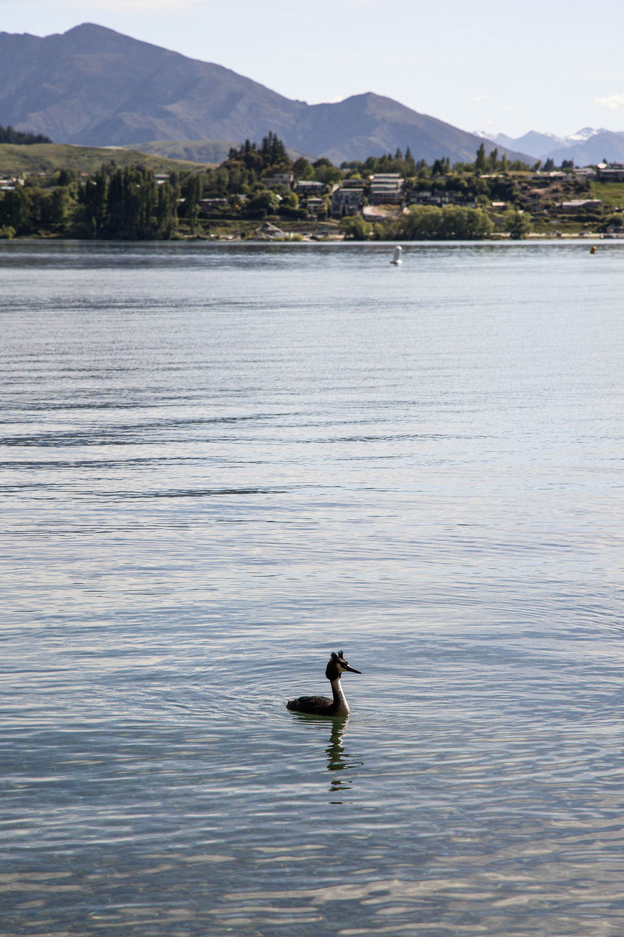 New Zealand 2024（图ZMzg1NzU5MTk2） - 风光摄影 - 站酷设计师亚细亚的迷雾原创素材 - 站酷ZCOOL