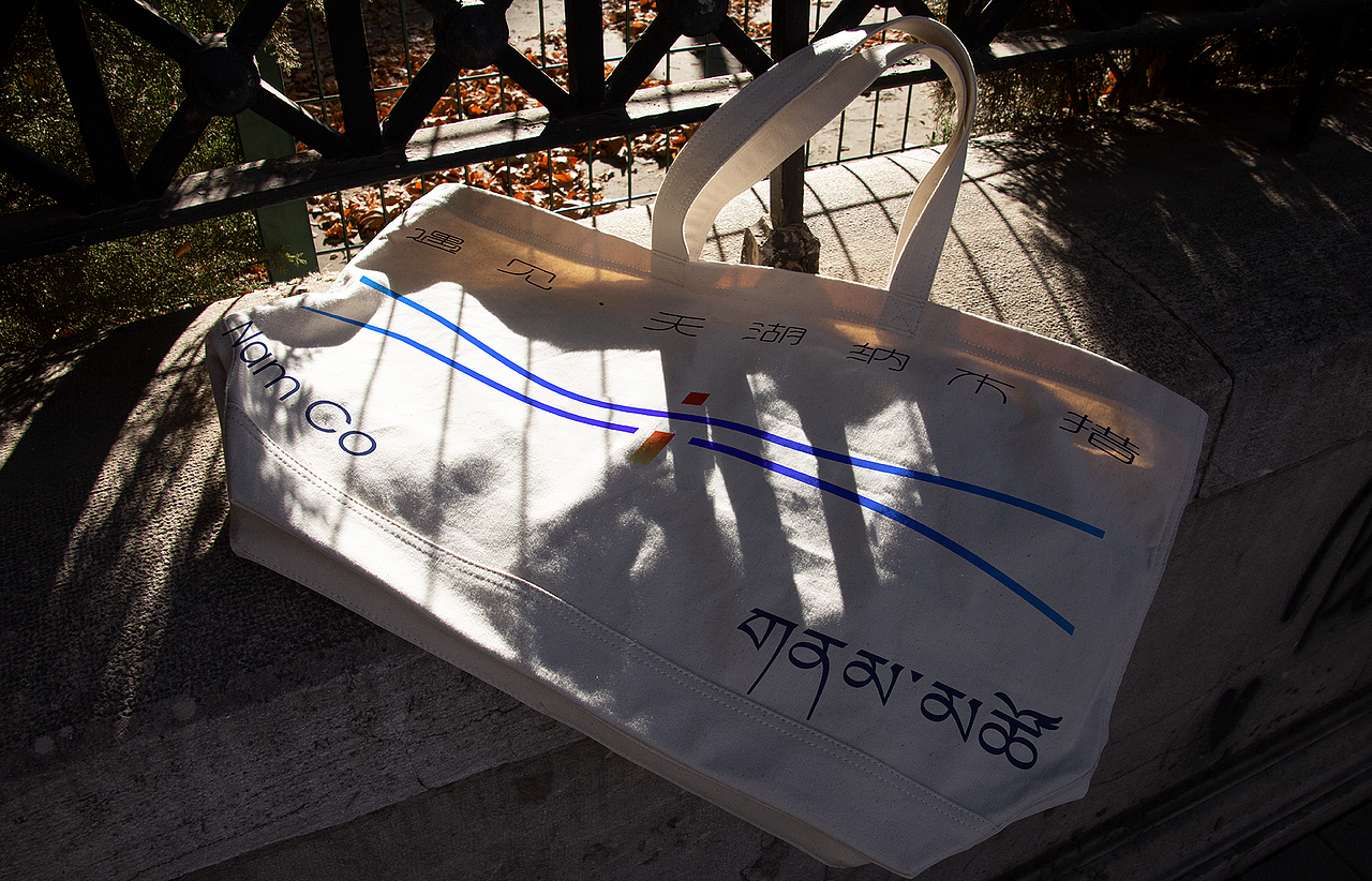 遇见·天湖纳木措logo设计