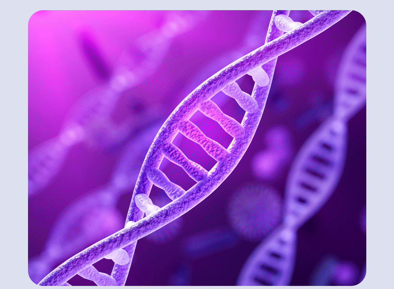 车载空气净化器 加湿器 空气消毒机 行车记录仪 香薰