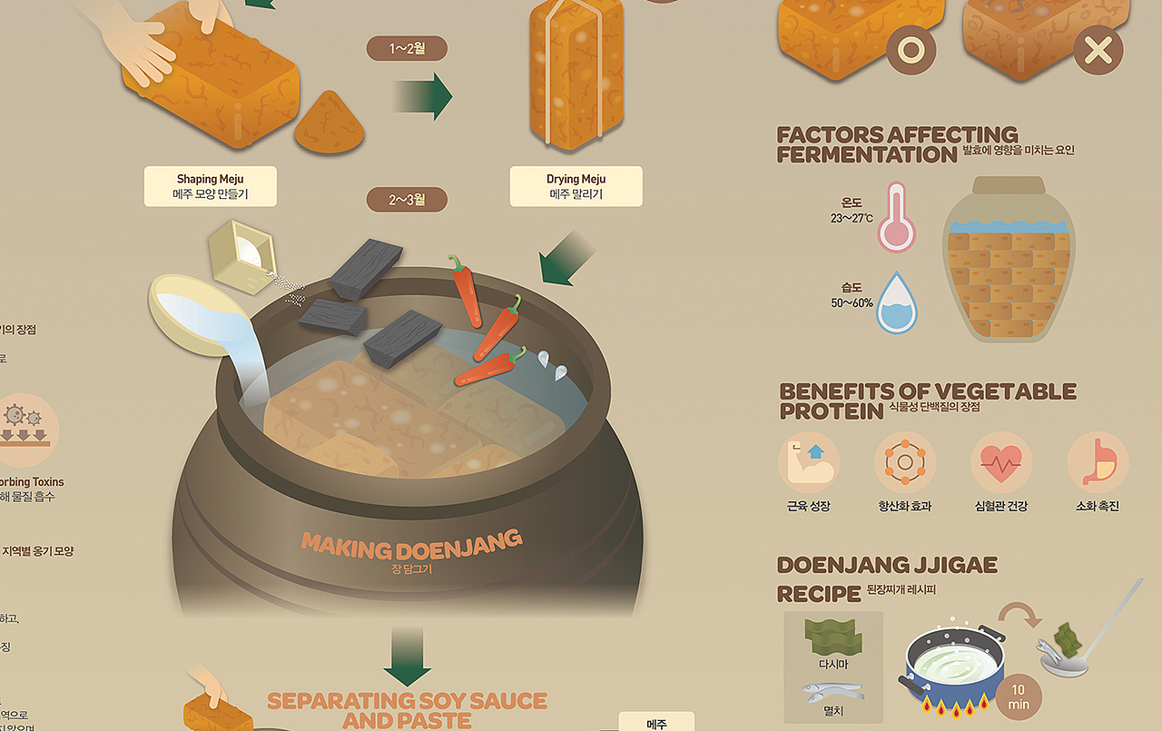 2412_腌制大酱_Making Sauce and Paste【信息图表】