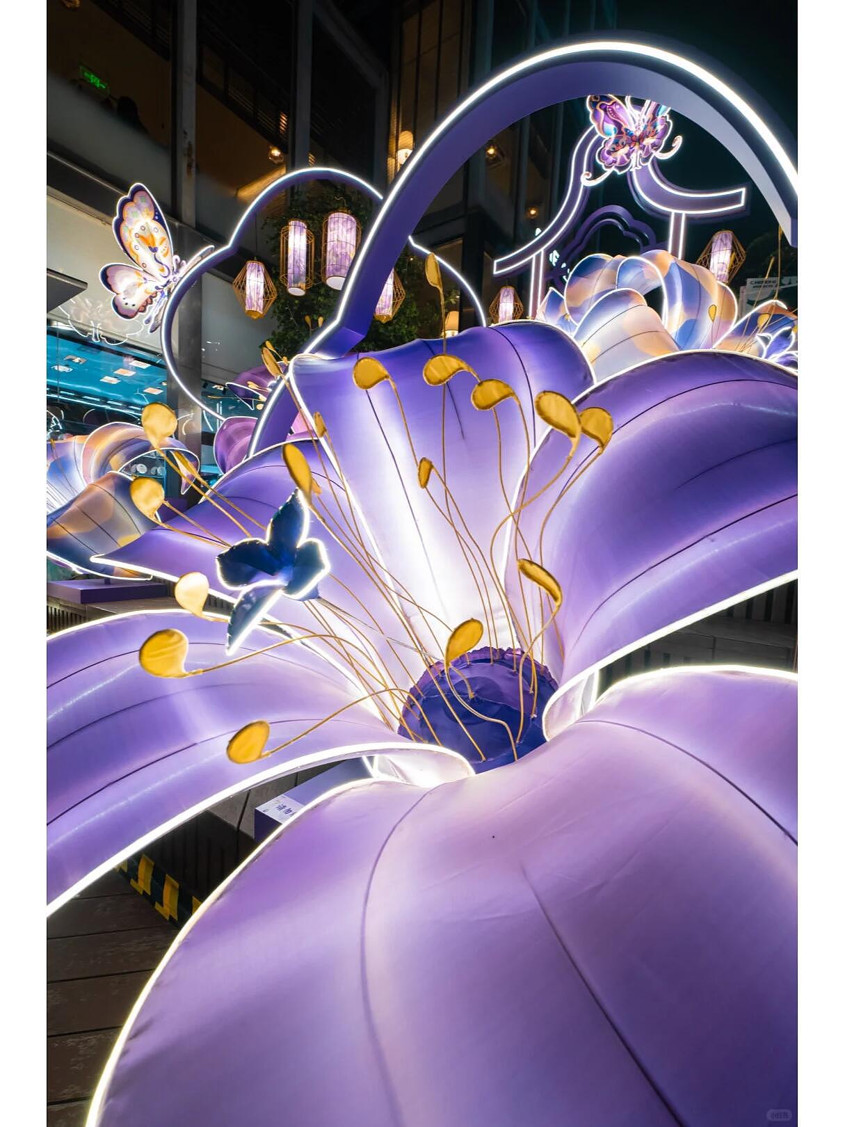 光韵流转, 灯光艺术装置的奇妙之旅