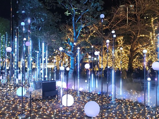 《光漾柔情：灯光艺术装置营造的浪漫氛围》