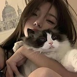 效果图找叶叶的头像