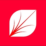 JV_Ye叶品牌设计的头像