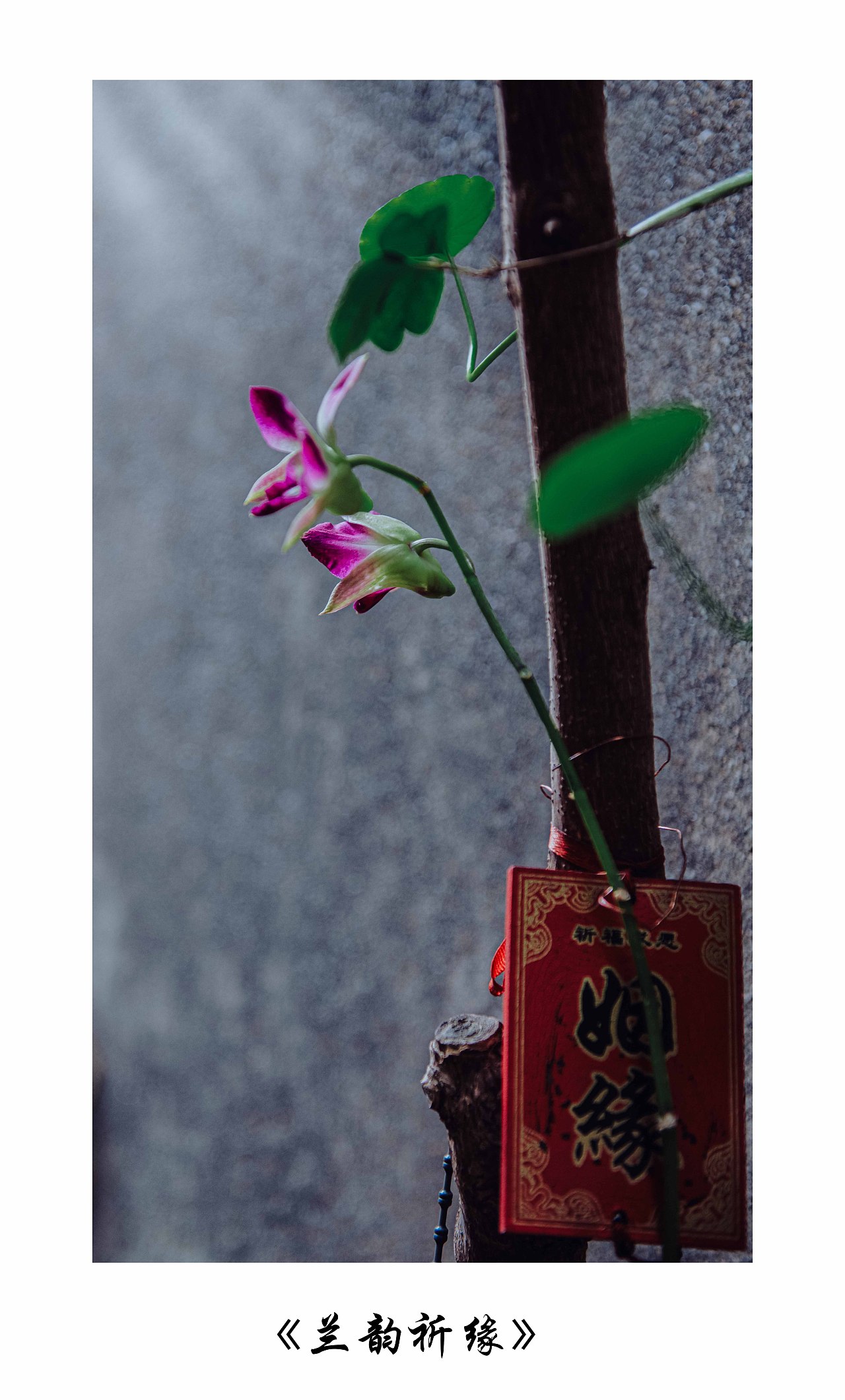 深圳古镇---甘坑​（图ZMzg1NzgyMjg0） - 人文/纪实摄影 - 站酷设计师yangqiugui578原创素材 - 站酷ZCOOL