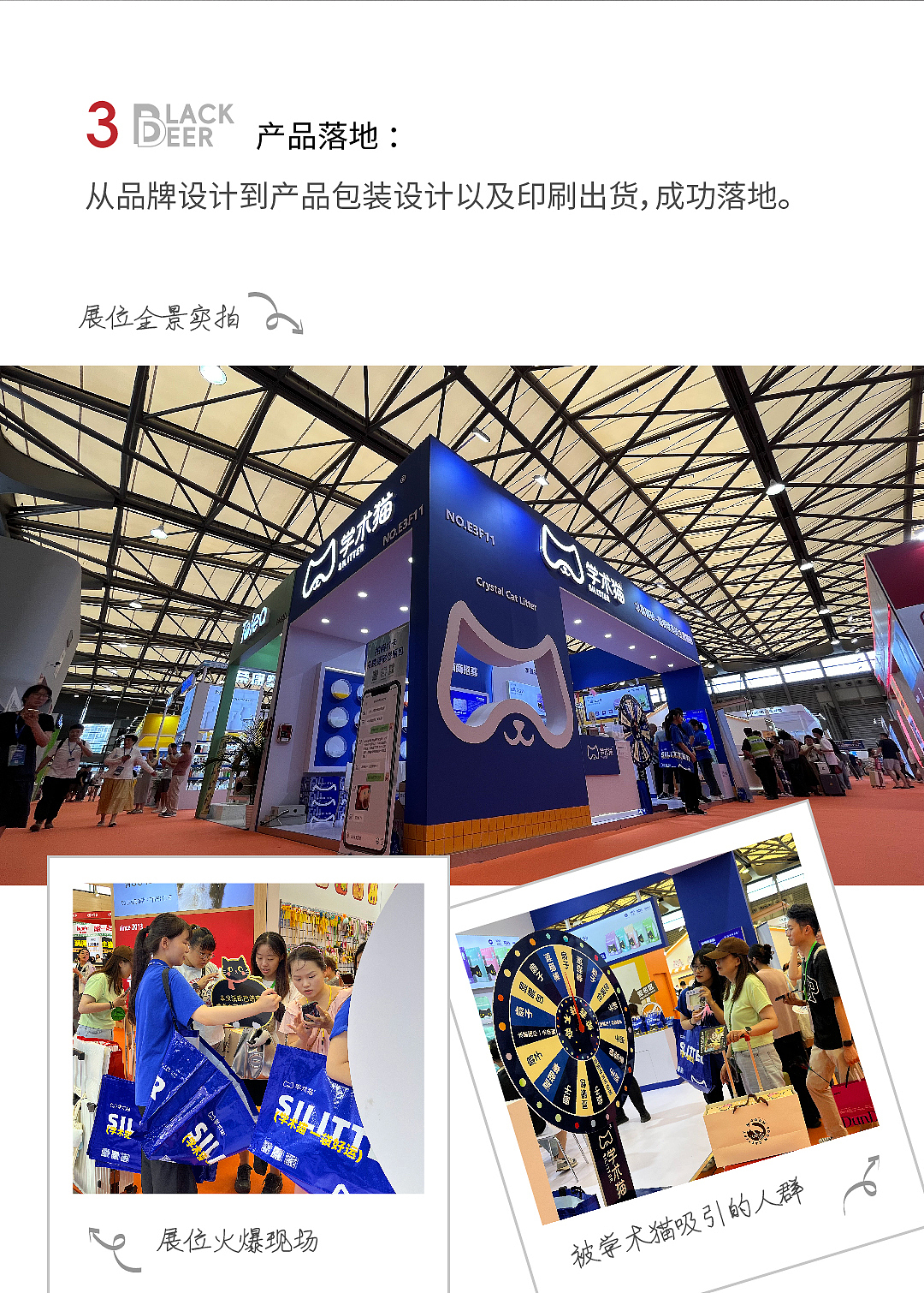 学术猫·水晶猫砂品牌全案设计