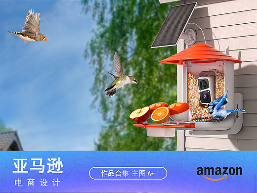 智能喂鸟器亚马逊主图A+