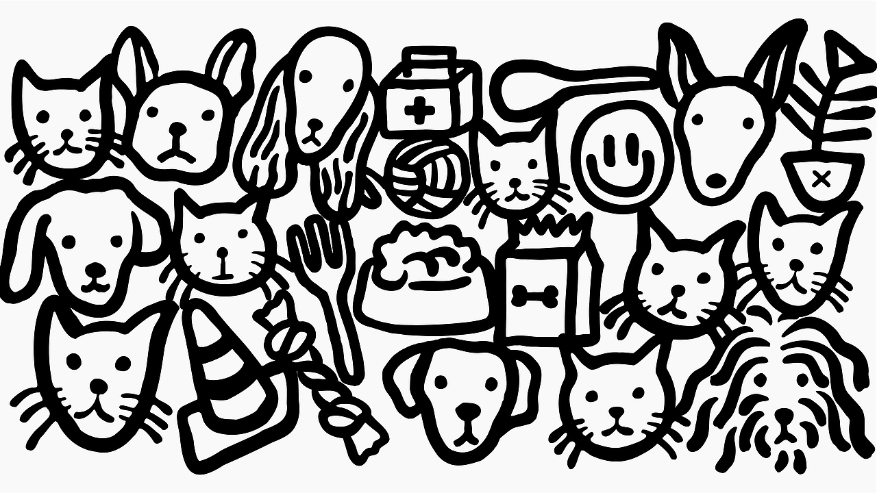 Gruppo E.D.G.E |鲜出格