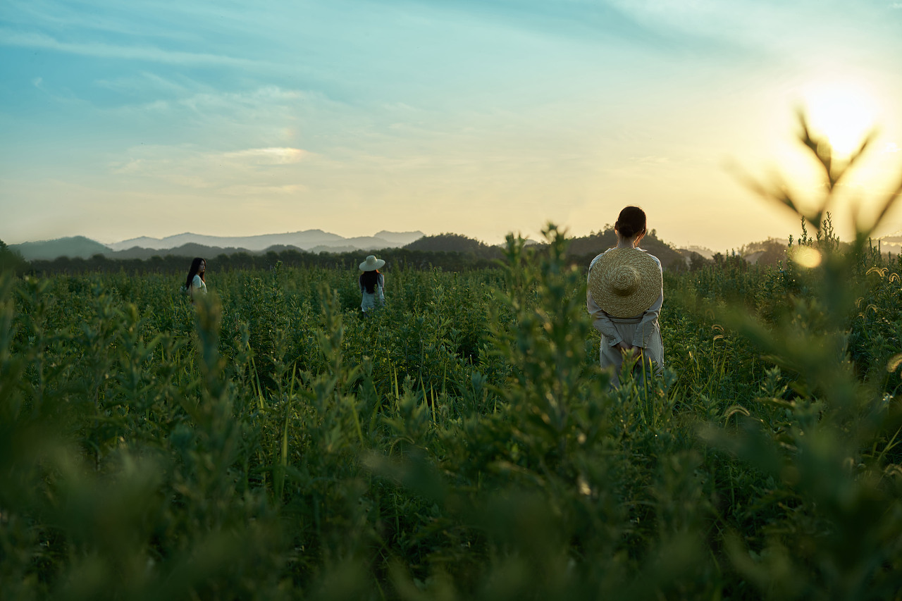 田园写真|东方美学（图ZMzg1ODY3NzQ4） - 人文/纪实摄影 - 站酷设计师川禾文化原创素材 - 站酷ZCOOL