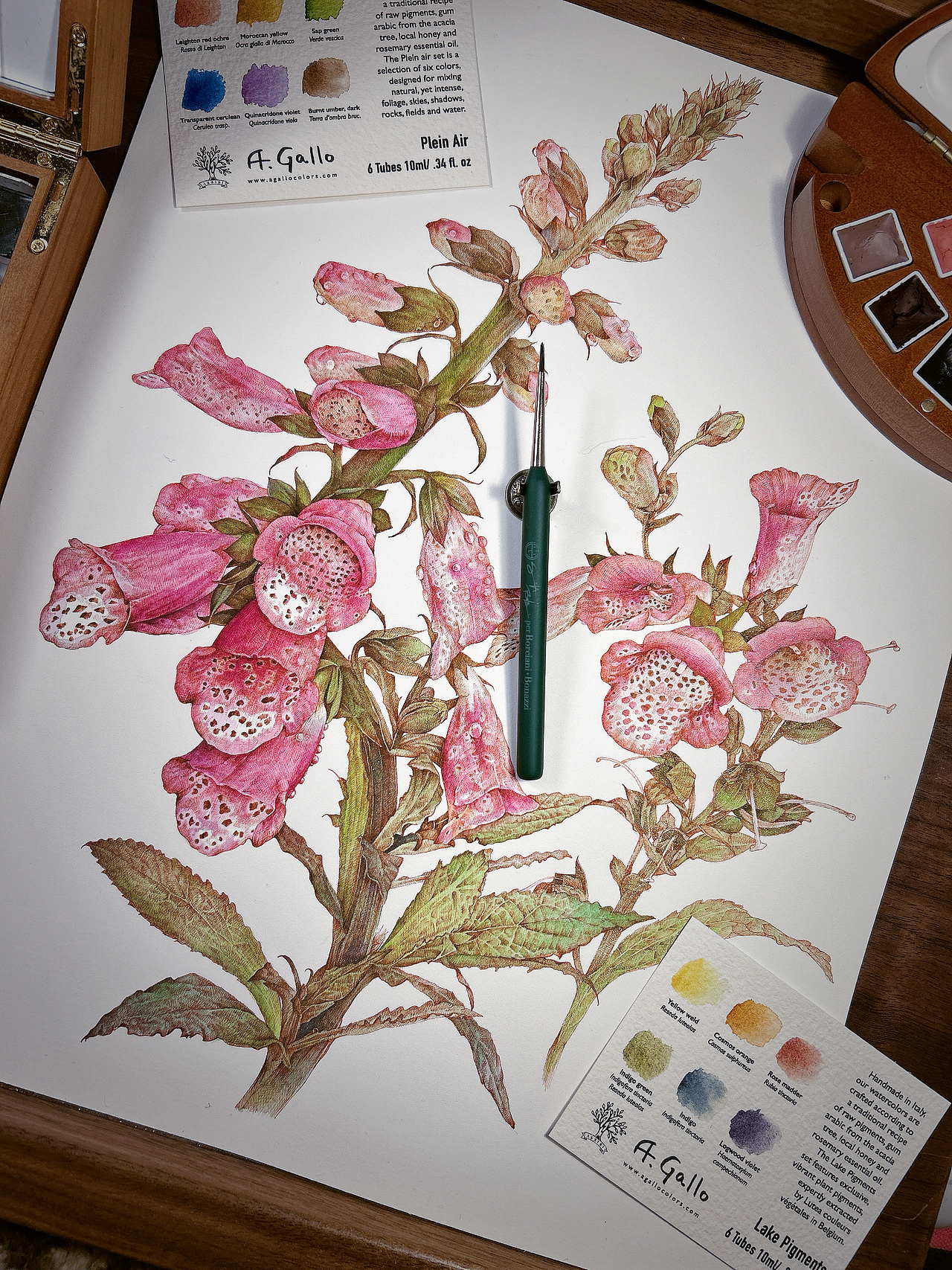 蘸水笔针管笔｜毛地黄（狐狸手套）（图ZMzg1ODk1MDI4） - 艺术插画 - 站酷设计师CatCastleDZ原创素材 - 站酷ZCOOL