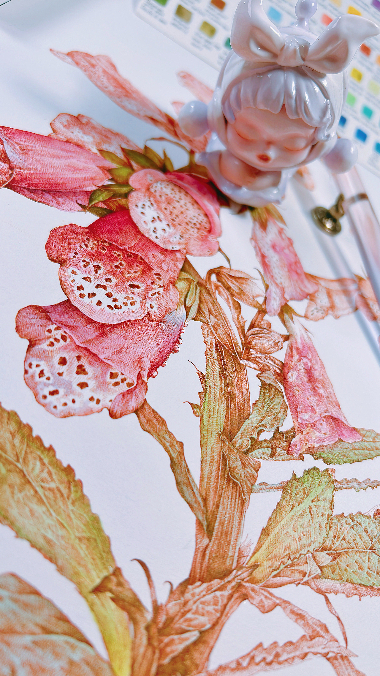 蘸水笔针管笔｜毛地黄（狐狸手套）（图ZMzg1ODk1MDYw） - 艺术插画 - 站酷设计师CatCastleDZ原创素材 - 站酷ZCOOL