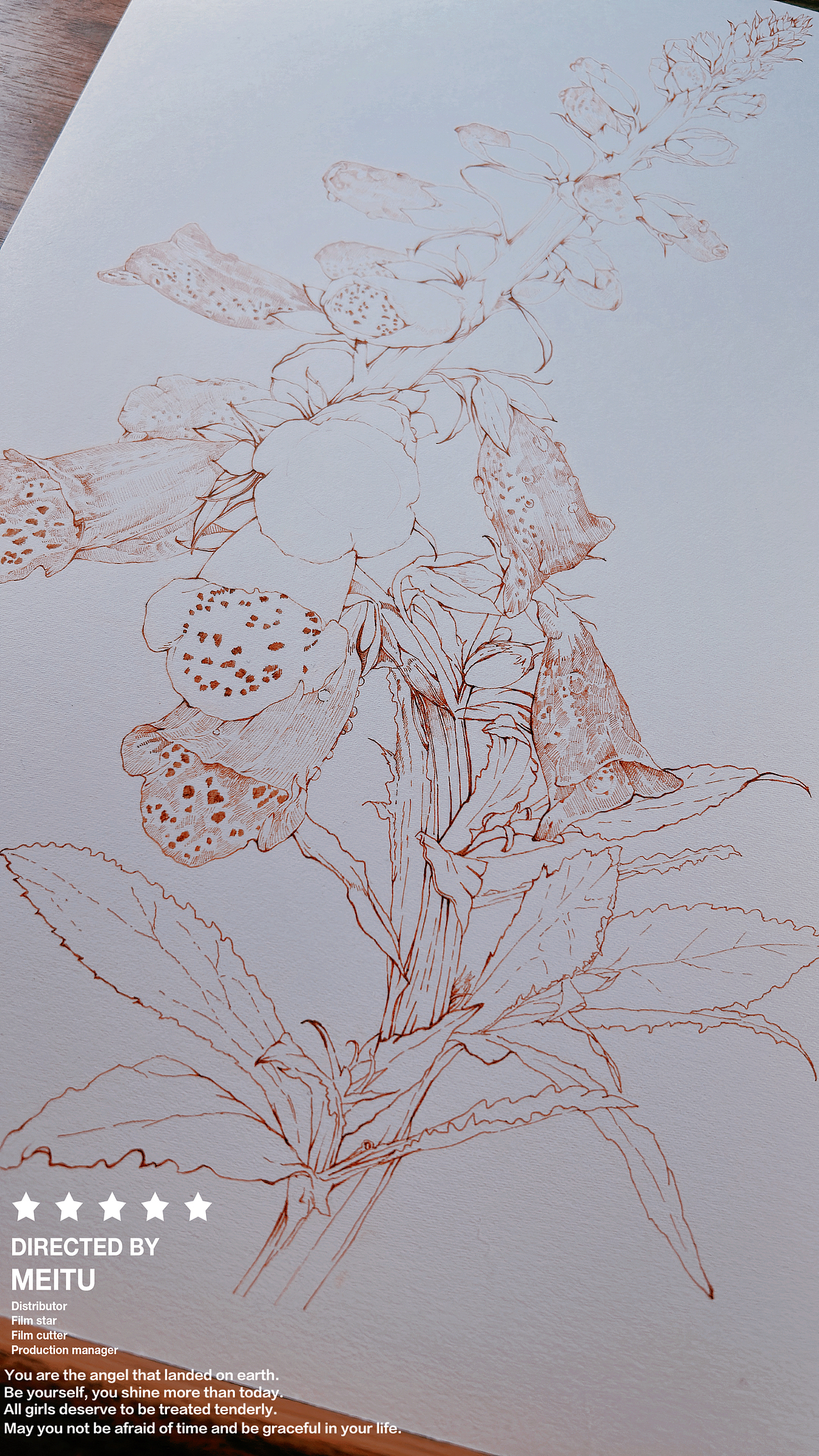 蘸水笔针管笔｜毛地黄（狐狸手套）（图ZMzg1ODk1MDky） - 艺术插画 - 站酷设计师CatCastleDZ原创素材 - 站酷ZCOOL