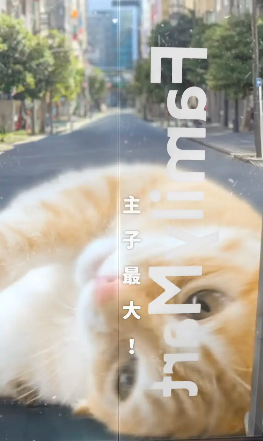 LV 推出龙虾套餐/iPhone 16e 新机型上市/台湾全家便利店帮流浪猫找家（图ZMTUwMzIxOTI=） - 资讯 - 站酷设计师站酷资讯原创素材 - 站酷ZCOOL